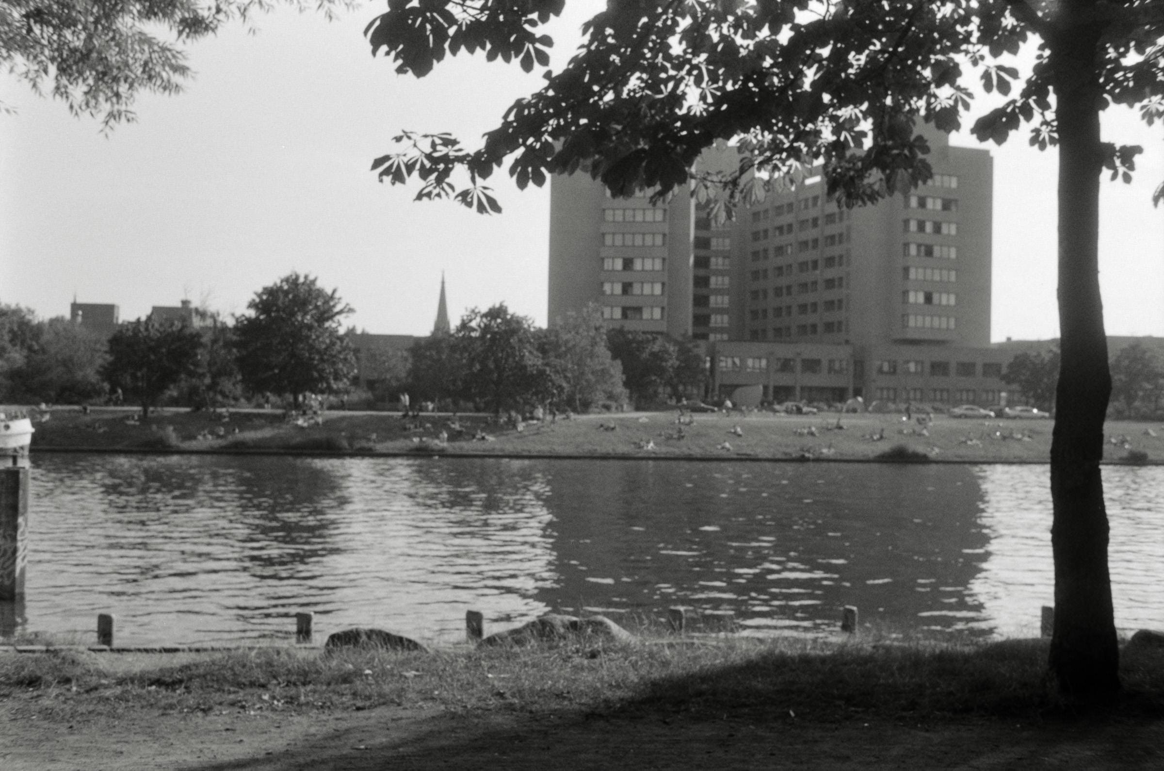 AHP F2001 07 002 sc240901 img35 NLP